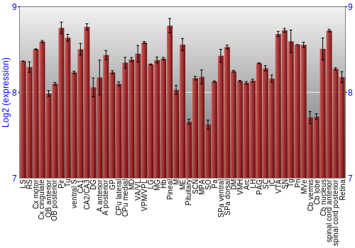 Expression graph