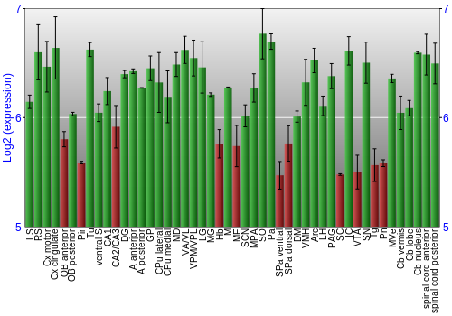 Multi-state expression graph