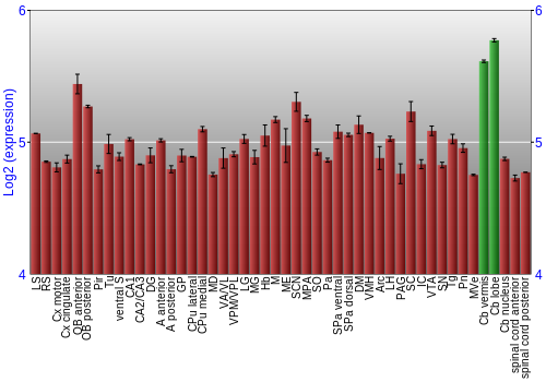 Multi-state expression graph