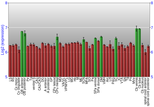 Multi-state expression graph