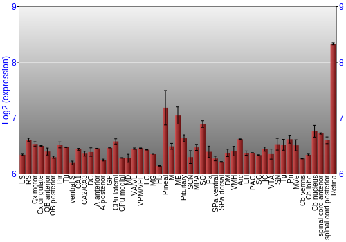 Expression graph
