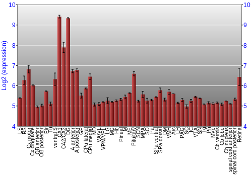 Expression graph