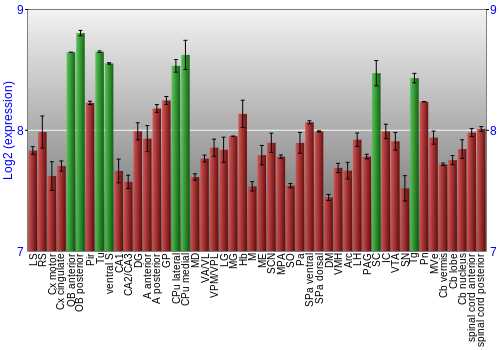 Multi-state expression graph