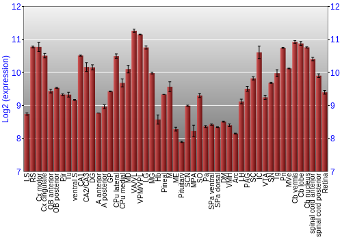 Expression graph