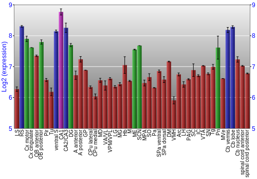 Multi-state expression graph