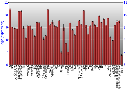 Expression graph