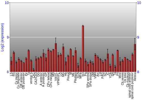 Expression graph