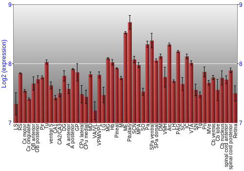 Expression graph