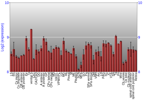 Expression graph
