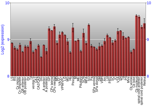Expression graph