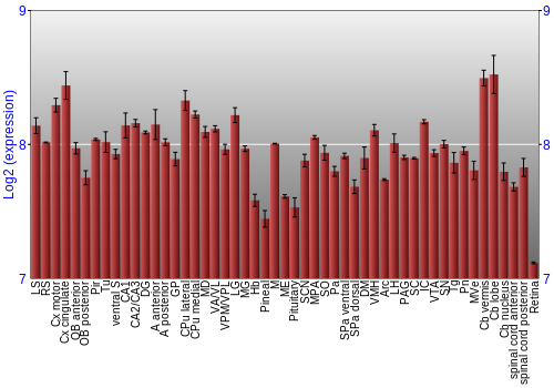 Expression graph