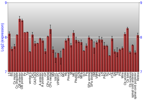 Expression graph