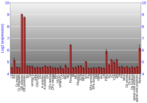 Expression graph