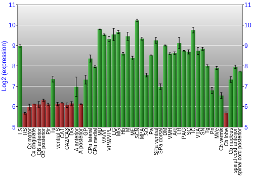 Multi-state expression graph