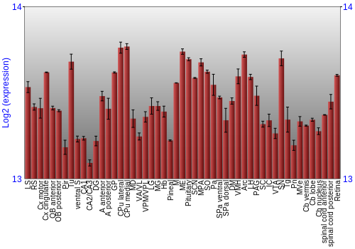 Expression graph