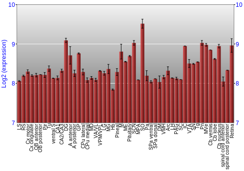 Expression graph
