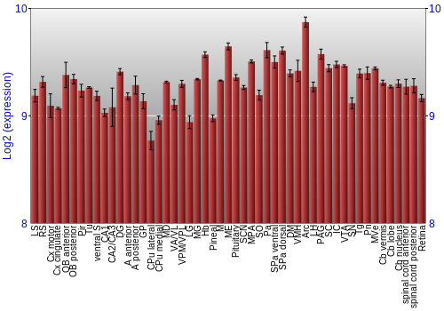 Expression graph