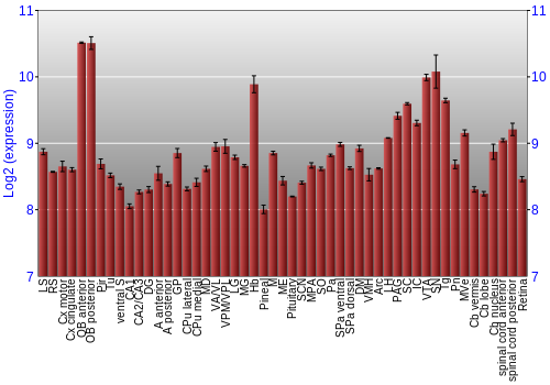 Expression graph
