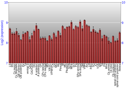 Expression graph