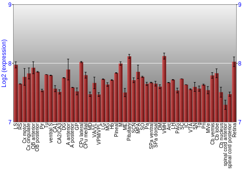 Expression graph