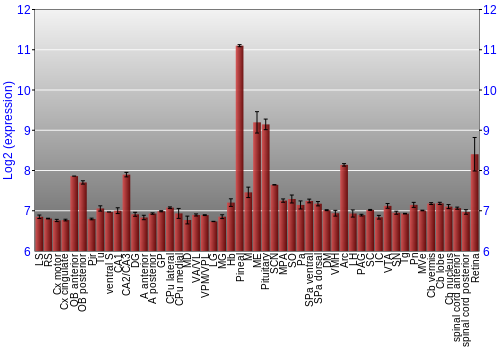 Expression graph