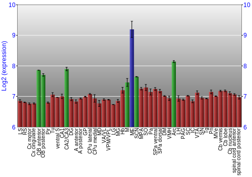Multi-state expression graph