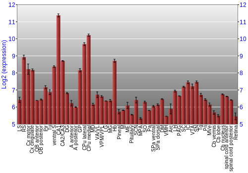 Expression graph
