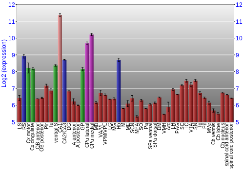 Multi-state expression graph