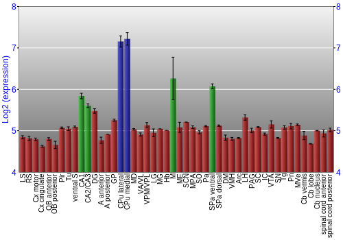 Multi-state expression graph