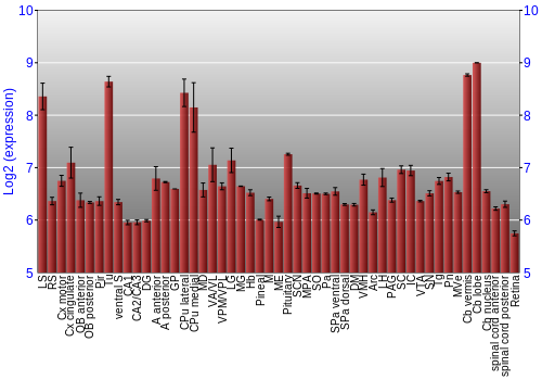 Expression graph