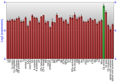 Multi-state expression graph
