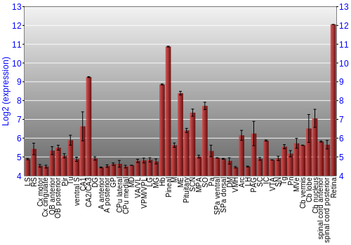 Expression graph