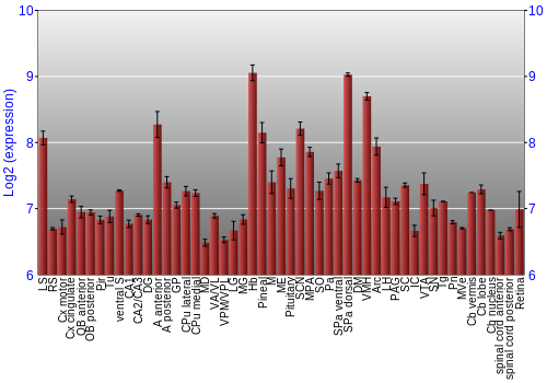 Expression graph