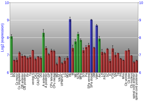 Multi-state expression graph