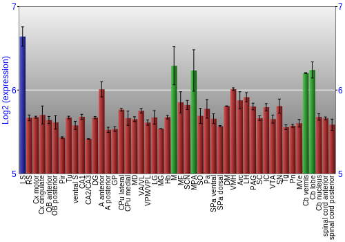 Multi-state expression graph