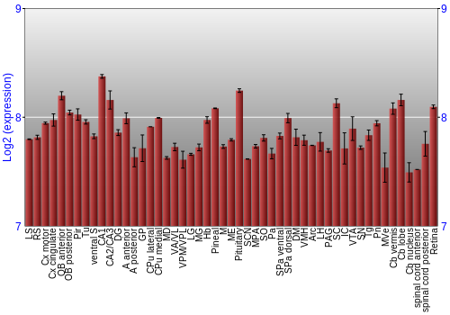 Expression graph