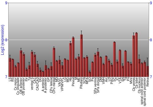 Expression graph