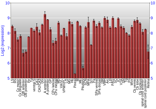 Expression graph