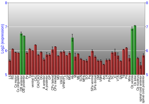 Multi-state expression graph