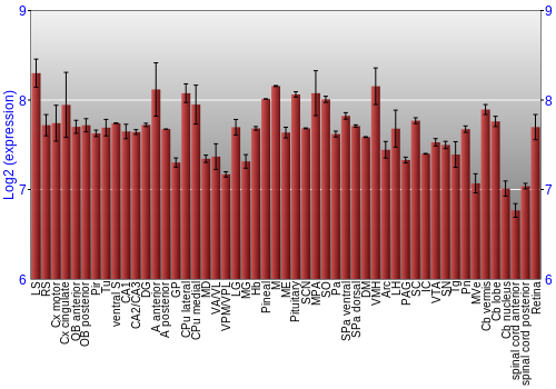 Expression graph