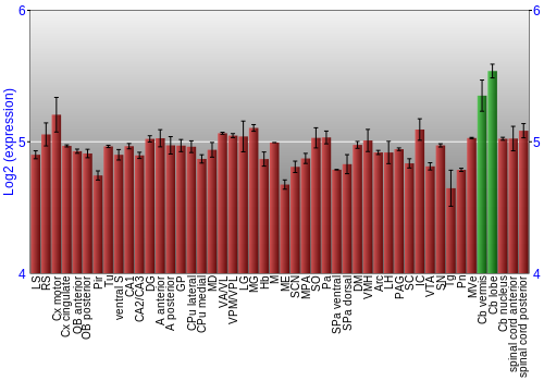 Multi-state expression graph