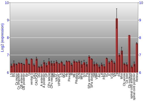 Expression graph