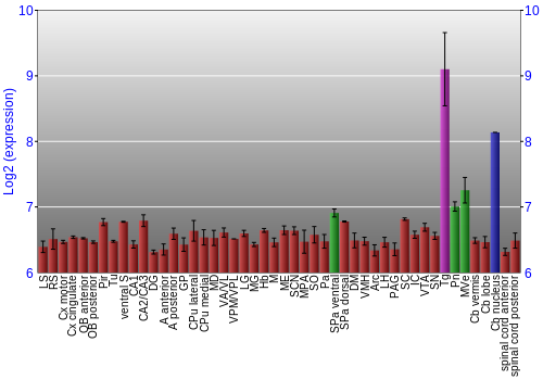 Multi-state expression graph
