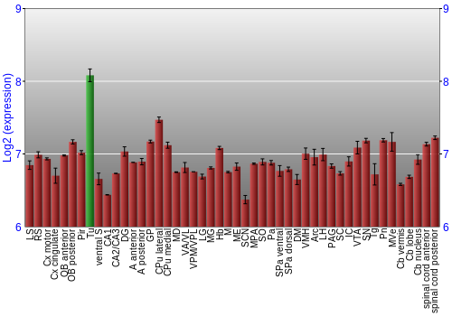 Multi-state expression graph