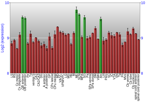 Multi-state expression graph