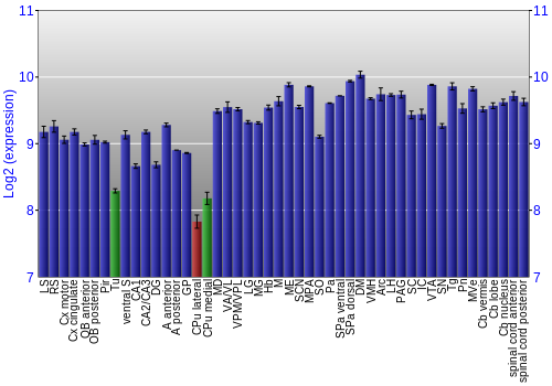 Multi-state expression graph