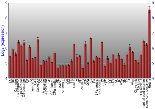 Expression graph