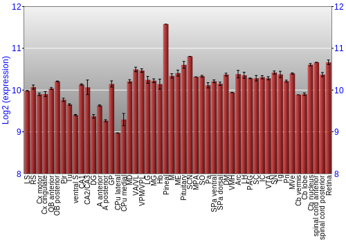 Expression graph