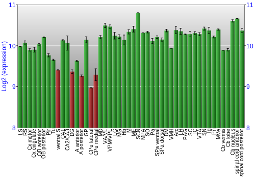 Multi-state expression graph