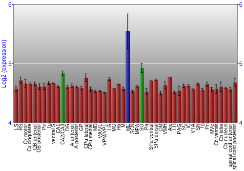 Multi-state expression graph